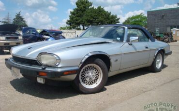 Jaguar-XJS-1992-Convertible-7