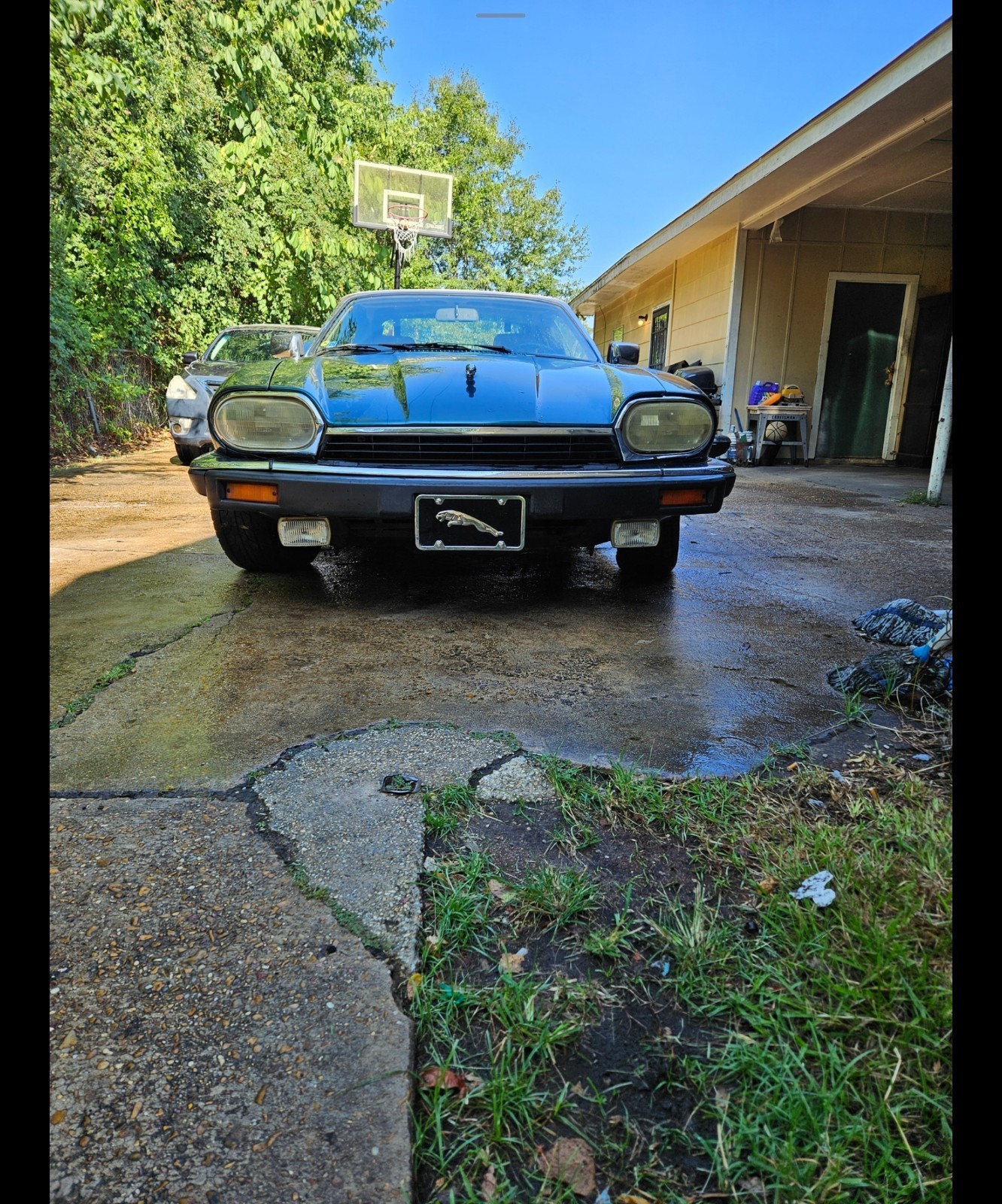 Jaguar-XJS-1993-Convertible-1