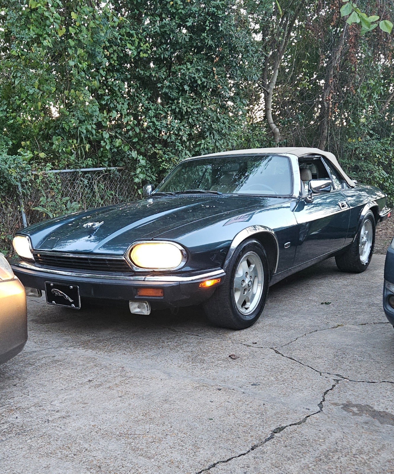 Jaguar-XJS-1993-Convertible-12