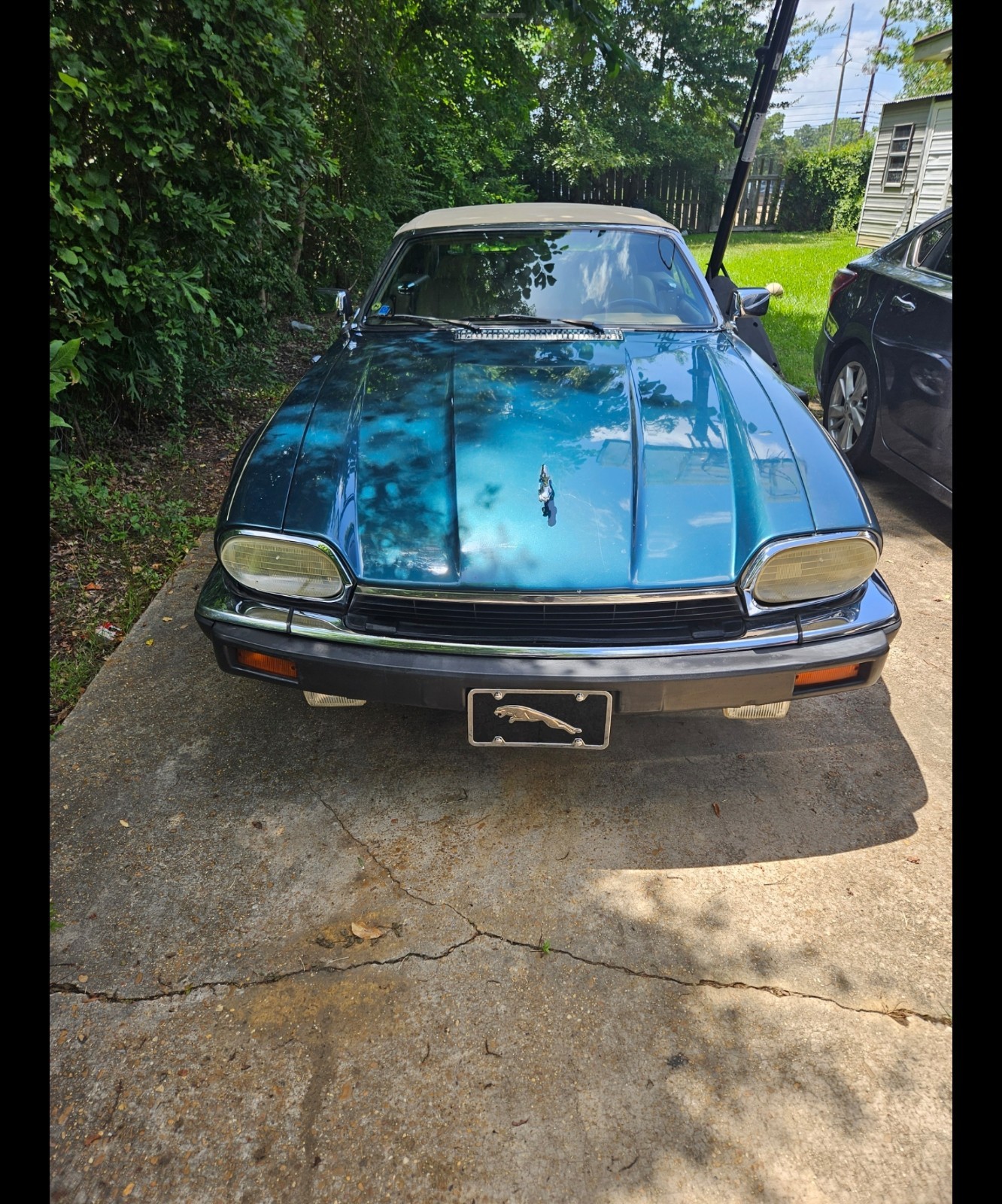Jaguar-XJS-1993-Convertible-14