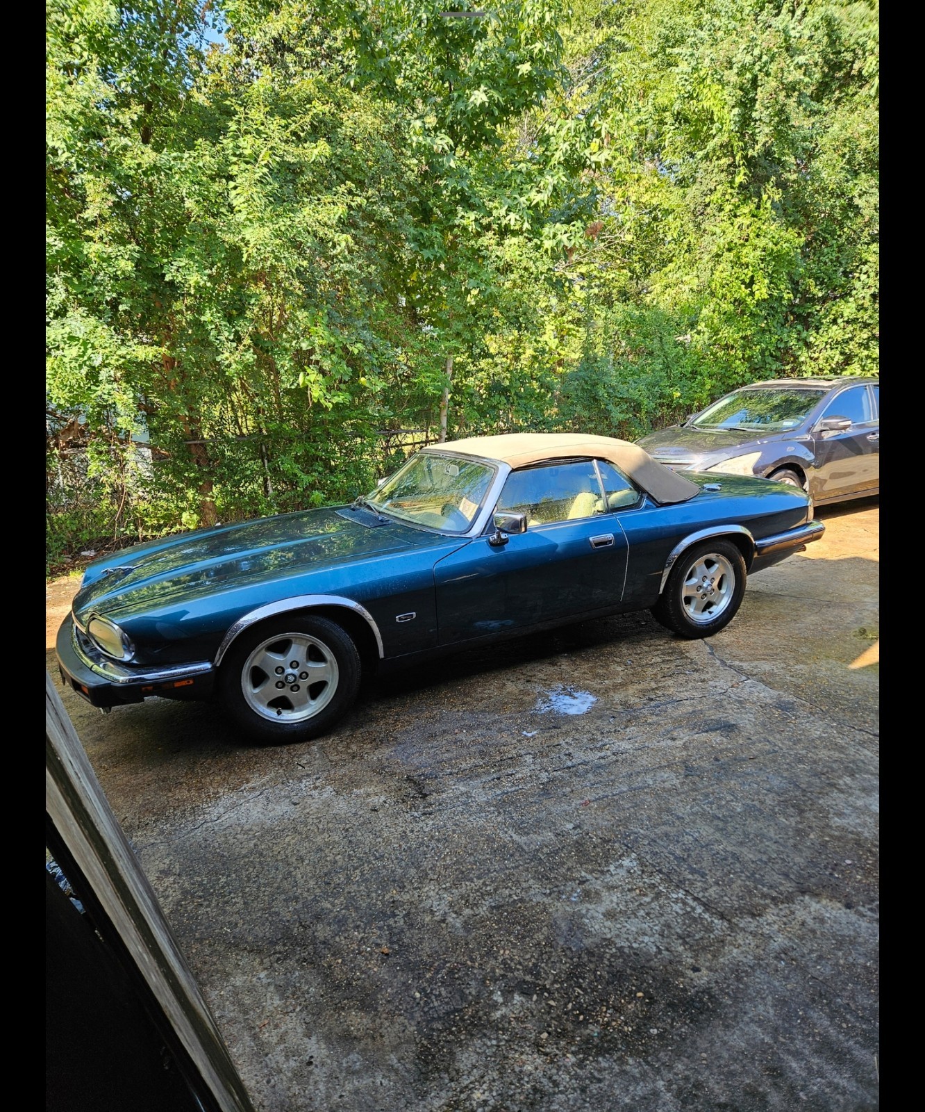 Jaguar-XJS-1993-Convertible-16