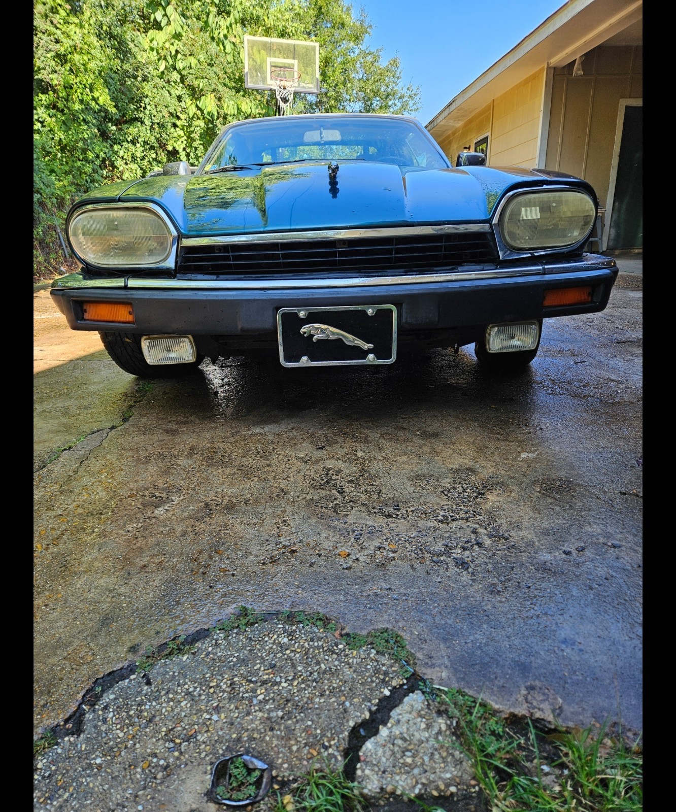 Jaguar-XJS-1993-Convertible-2