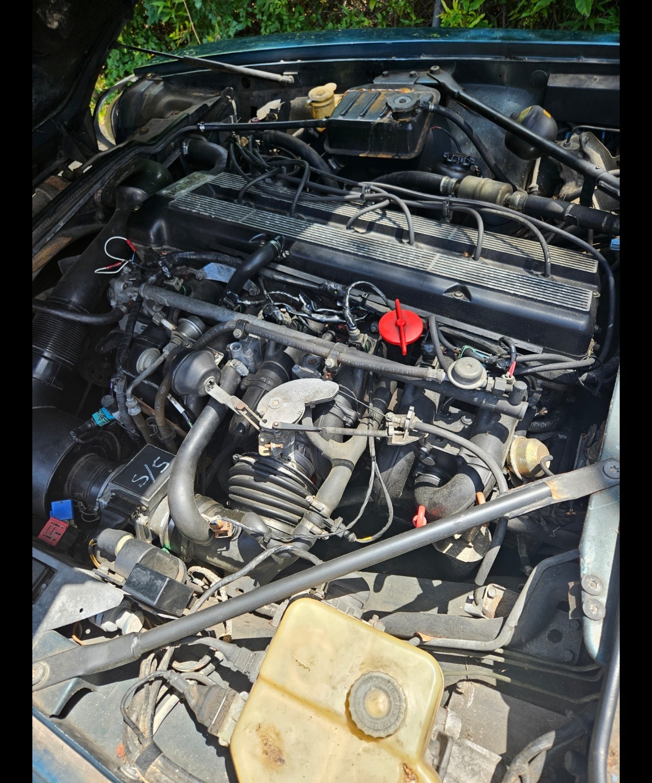 Jaguar-XJS-1993-Convertible-22