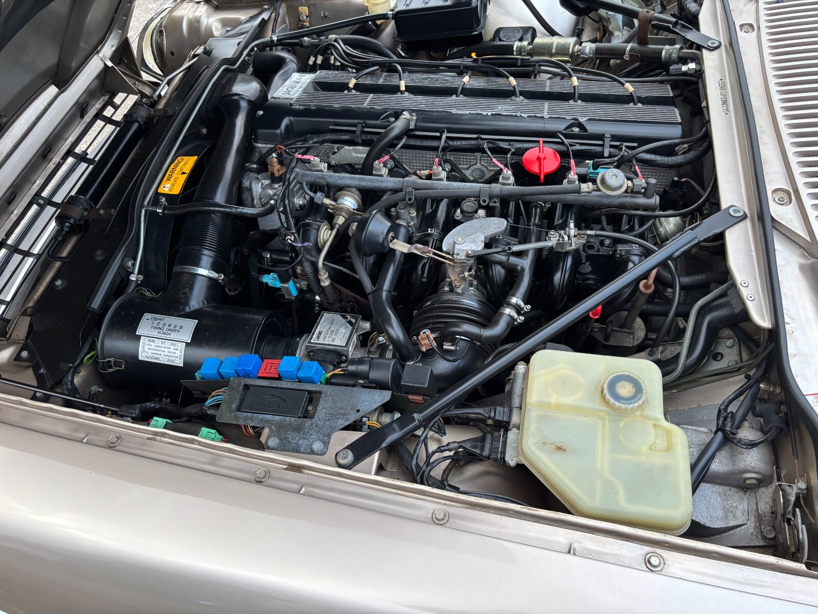 Jaguar-XJS-1993-Convertible-28