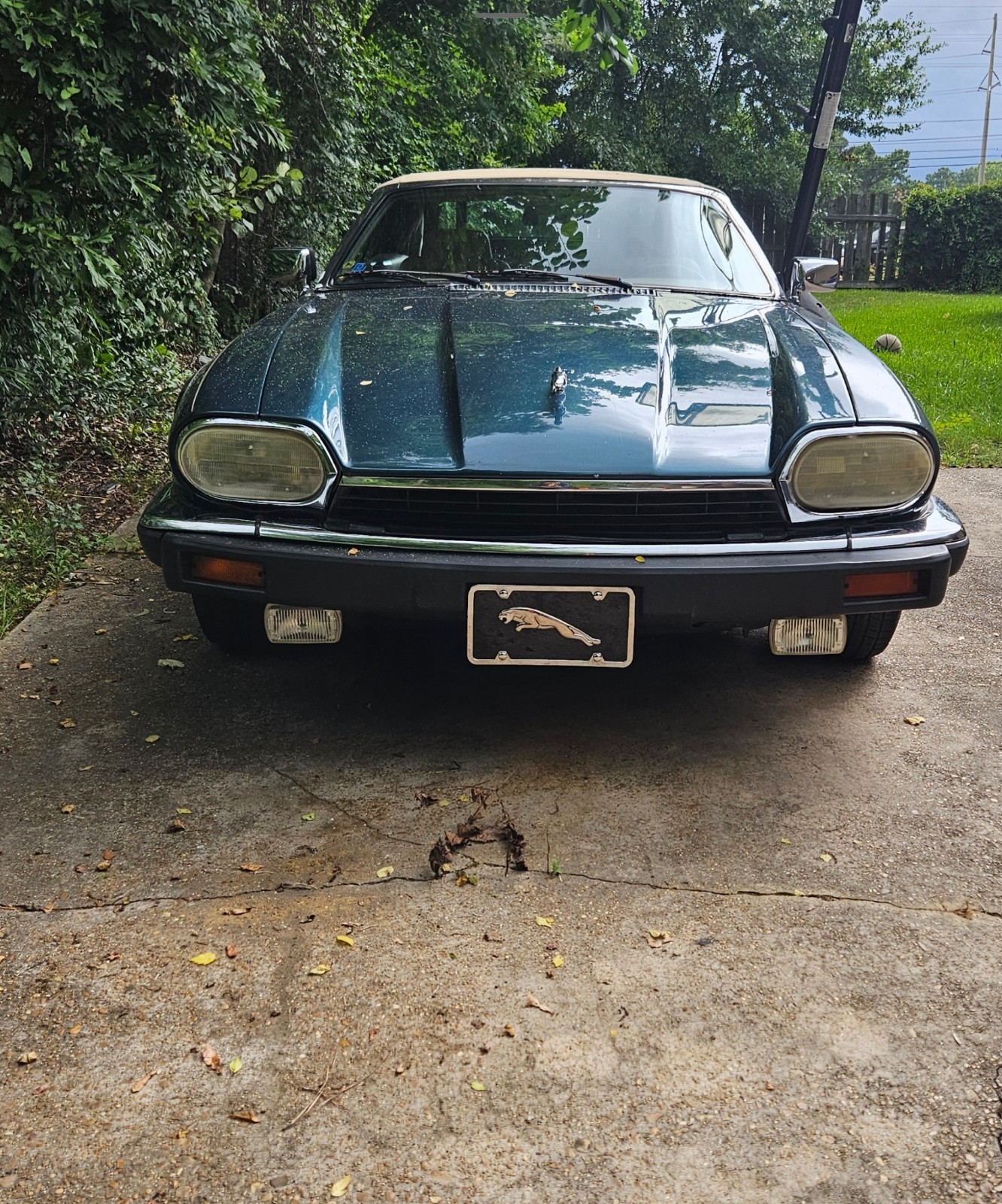 Jaguar-XJS-1993-Convertible-4