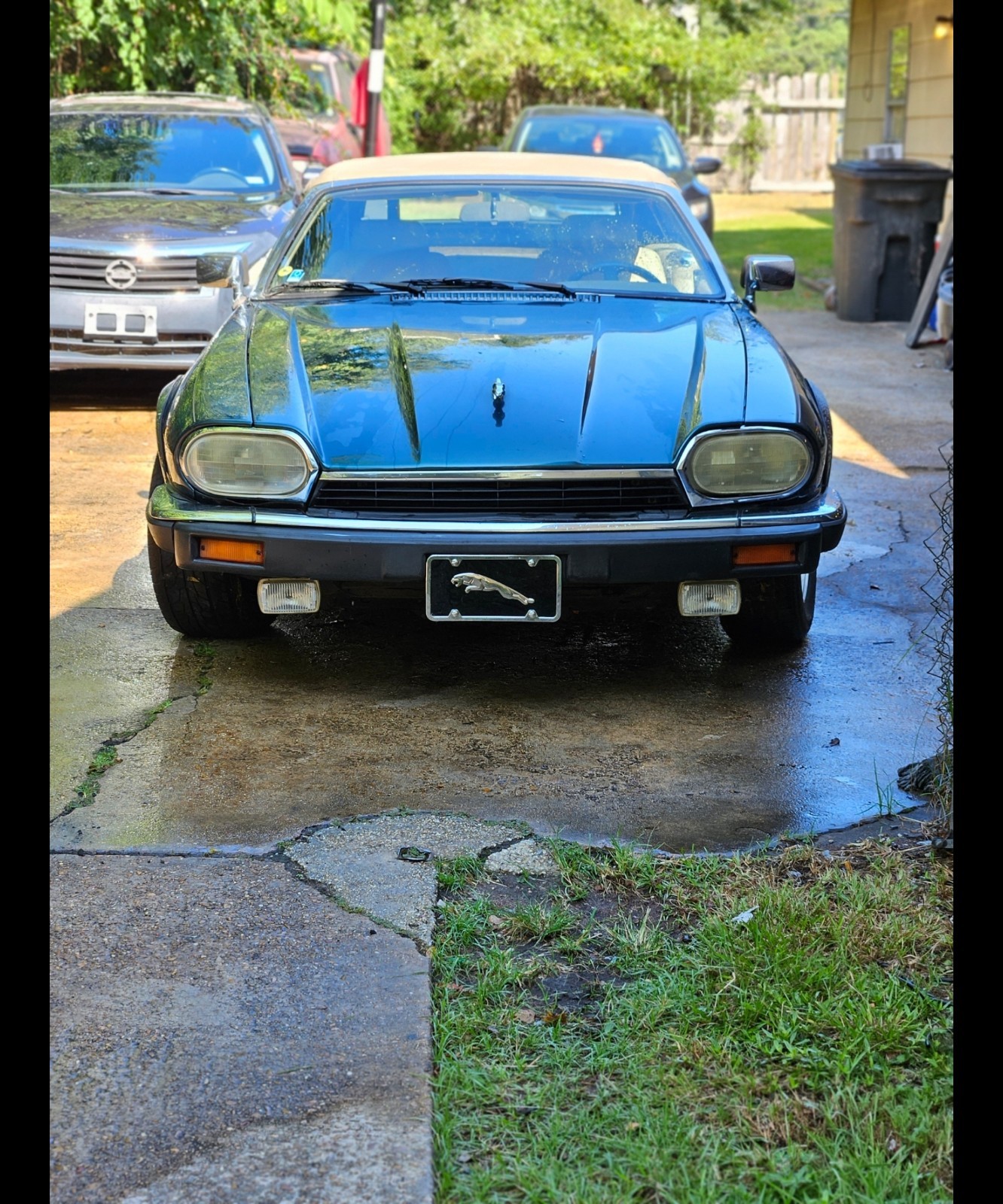 Jaguar-XJS-1993-Convertible-6
