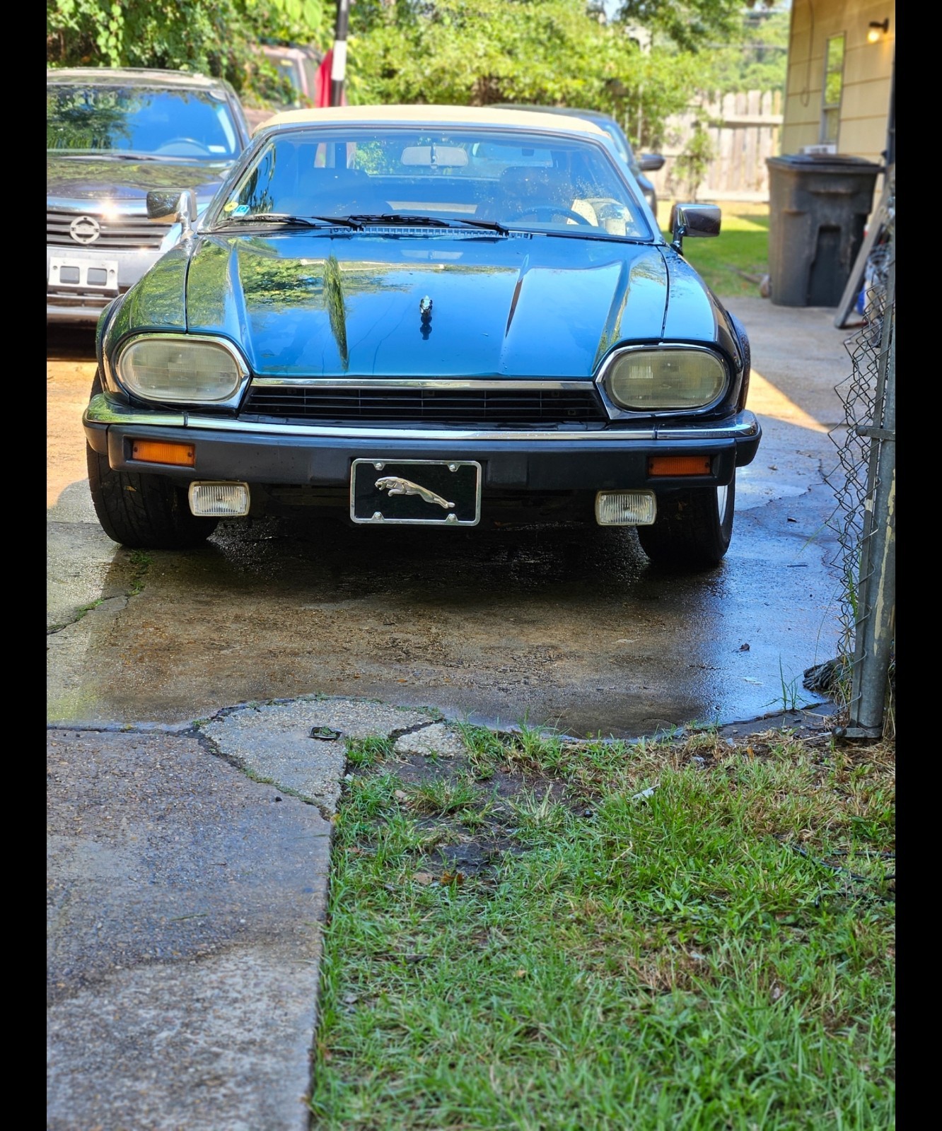 Jaguar-XJS-1993-Convertible-7