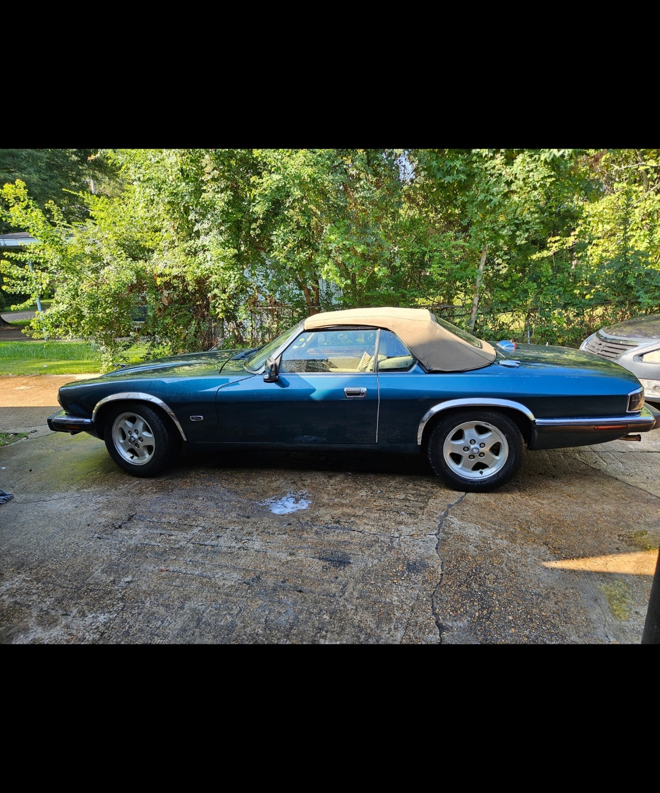 Jaguar-XJS-1993-Convertible-8