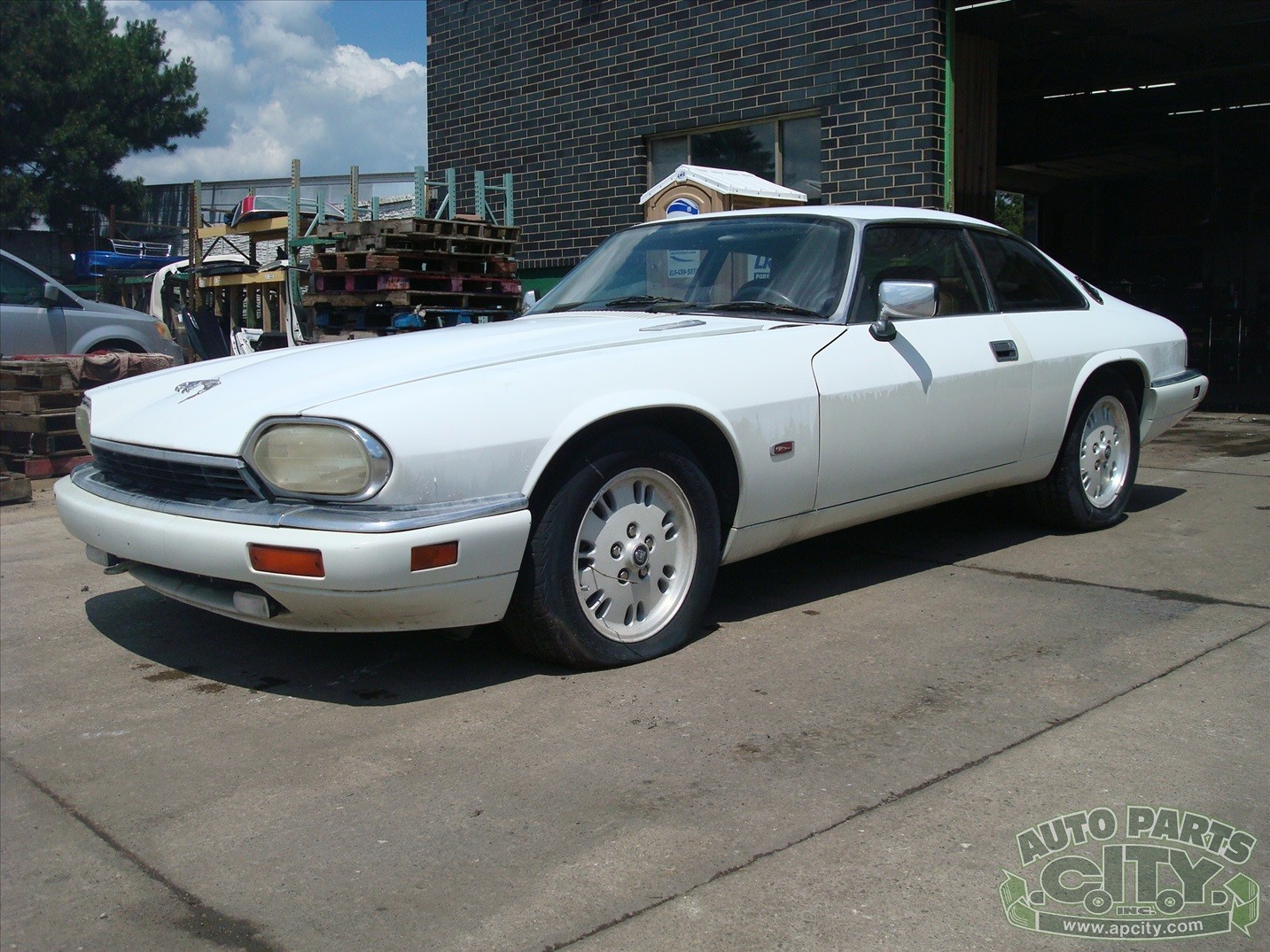 Jaguar-XJS-1995-Coupe-15