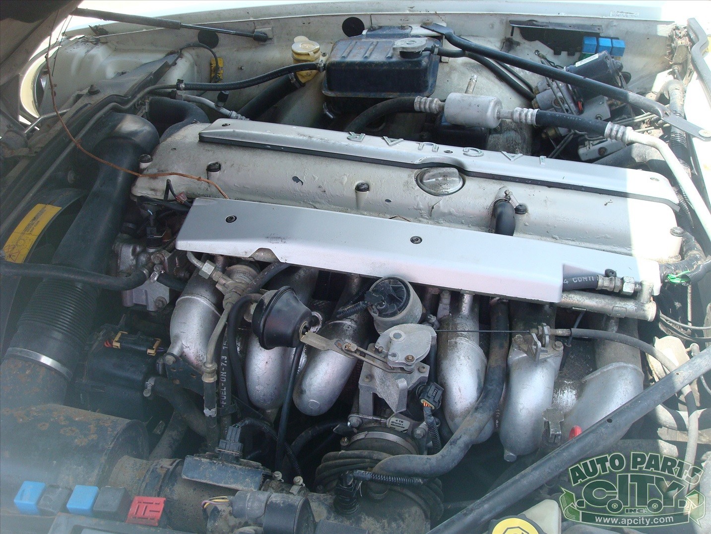 Jaguar-XJS-1995-Coupe-4