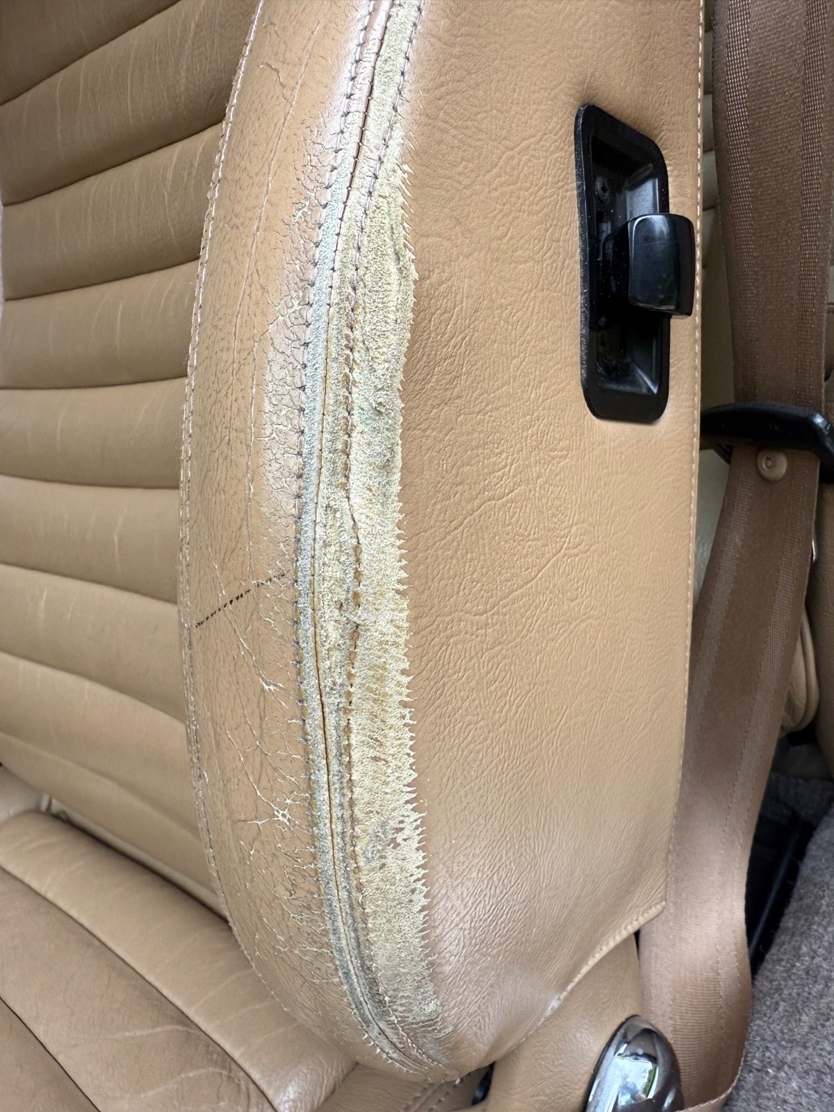 Jaguar-XJS-COUPE-1990-Coupe-23