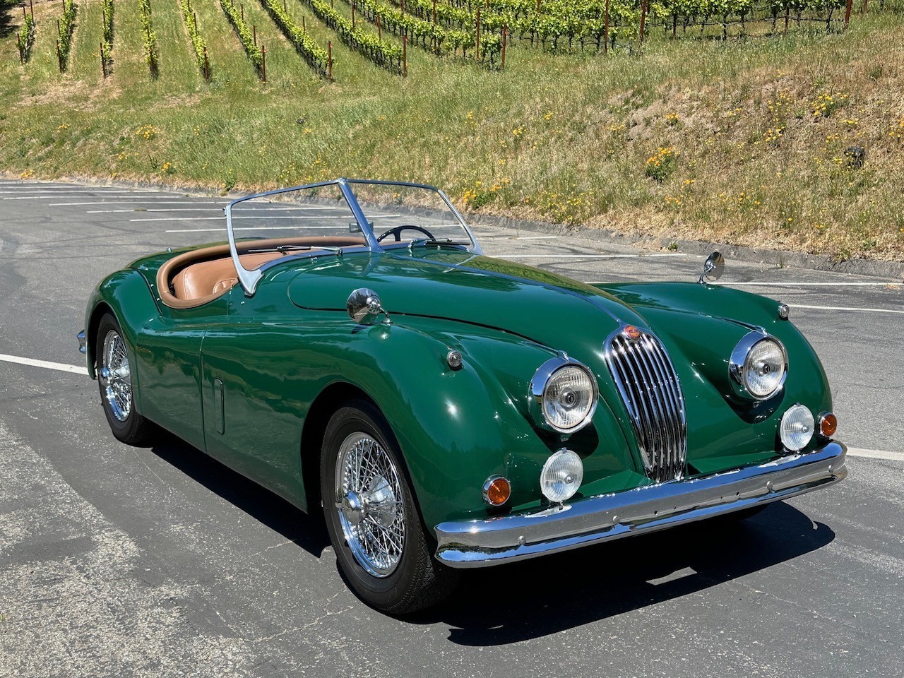 Jaguar-XK140-MC-1955-Convertible-2