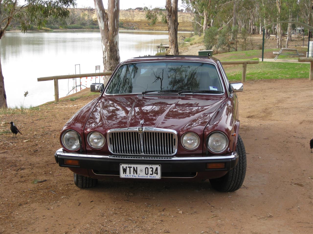 Jaguar-Xj12-1988-Maroon-Beige-1