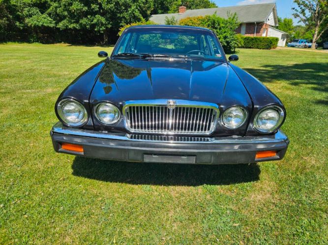 Jaguar-Xj6-1983-Black-Gray-3