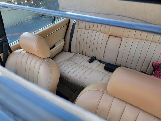Jaguar-Xj6-1984-Black-11