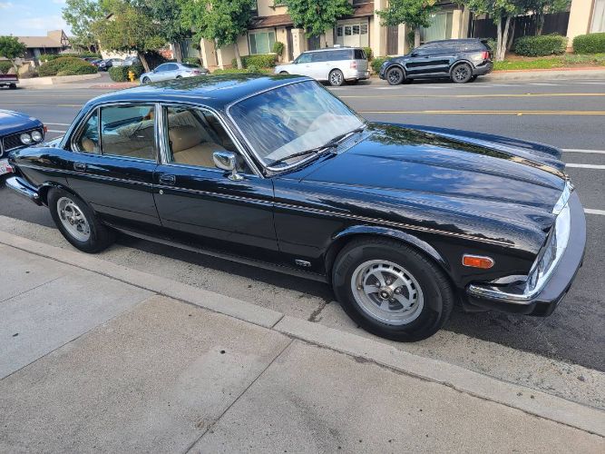 Jaguar-Xj6-1984-Black-21