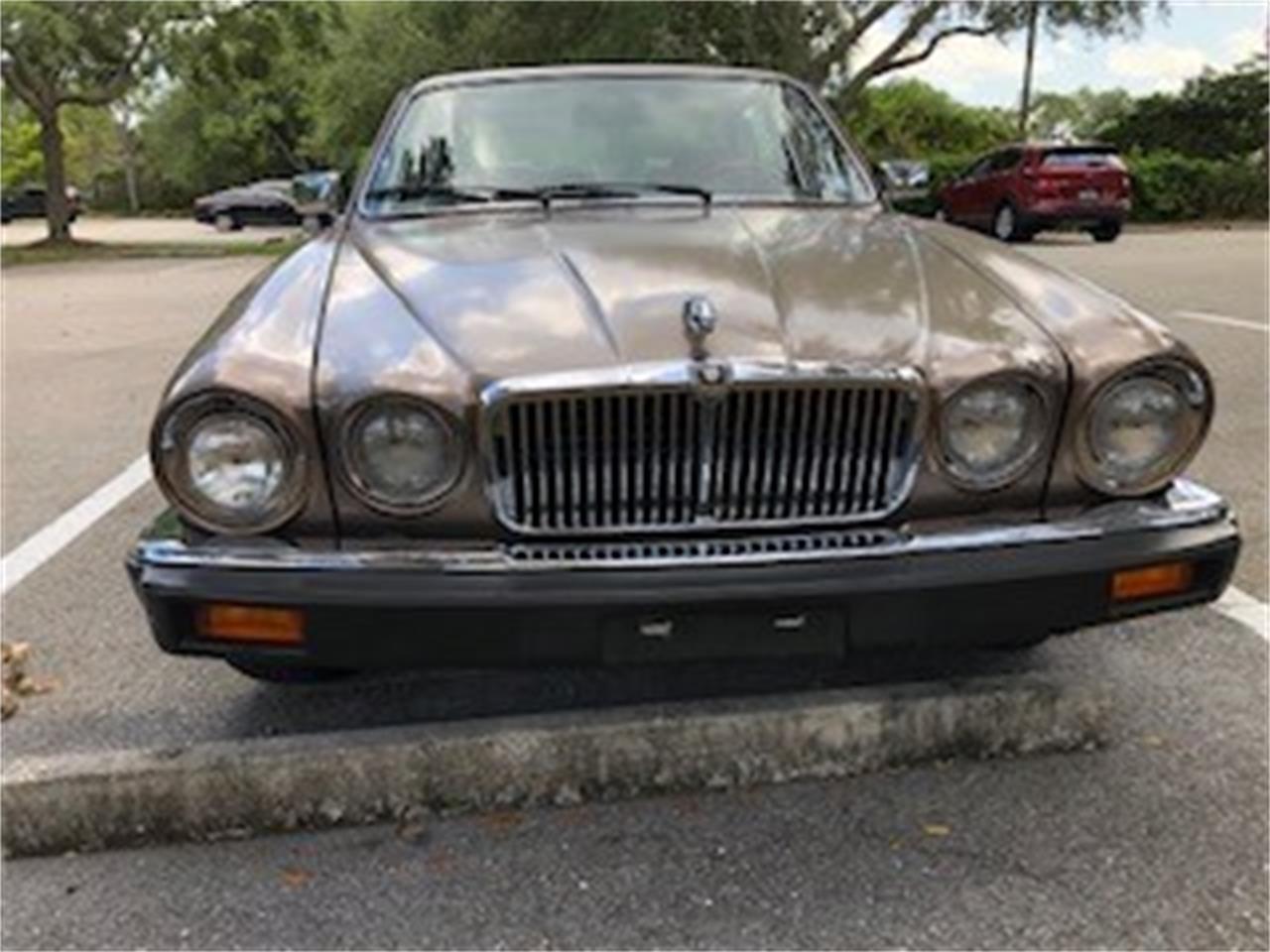Jaguar-Xj6-1986-Tan-Tan-1