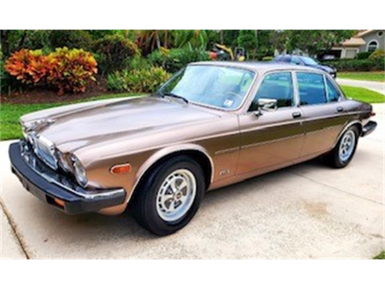 Jaguar-Xj6-1986-Tan-Tan-2