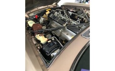 Jaguar-Xj6-1986-Tan-Tan-3