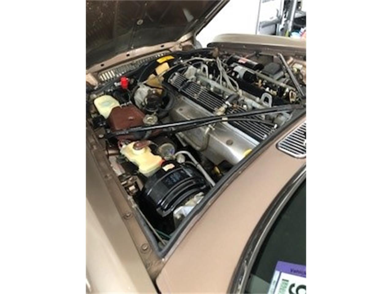 Jaguar-Xj6-1986-Tan-Tan-3