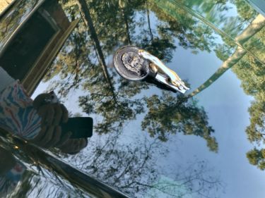 Jaguar-Xj6-1994-Green-12
