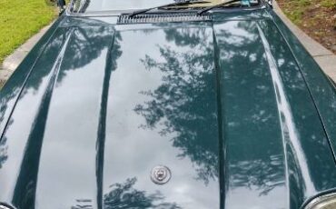 Jaguar-Xj6-1994-Green-4