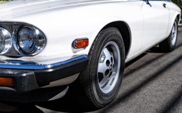 Jaguar-Xjs-1982-Tudor-White-Black-8