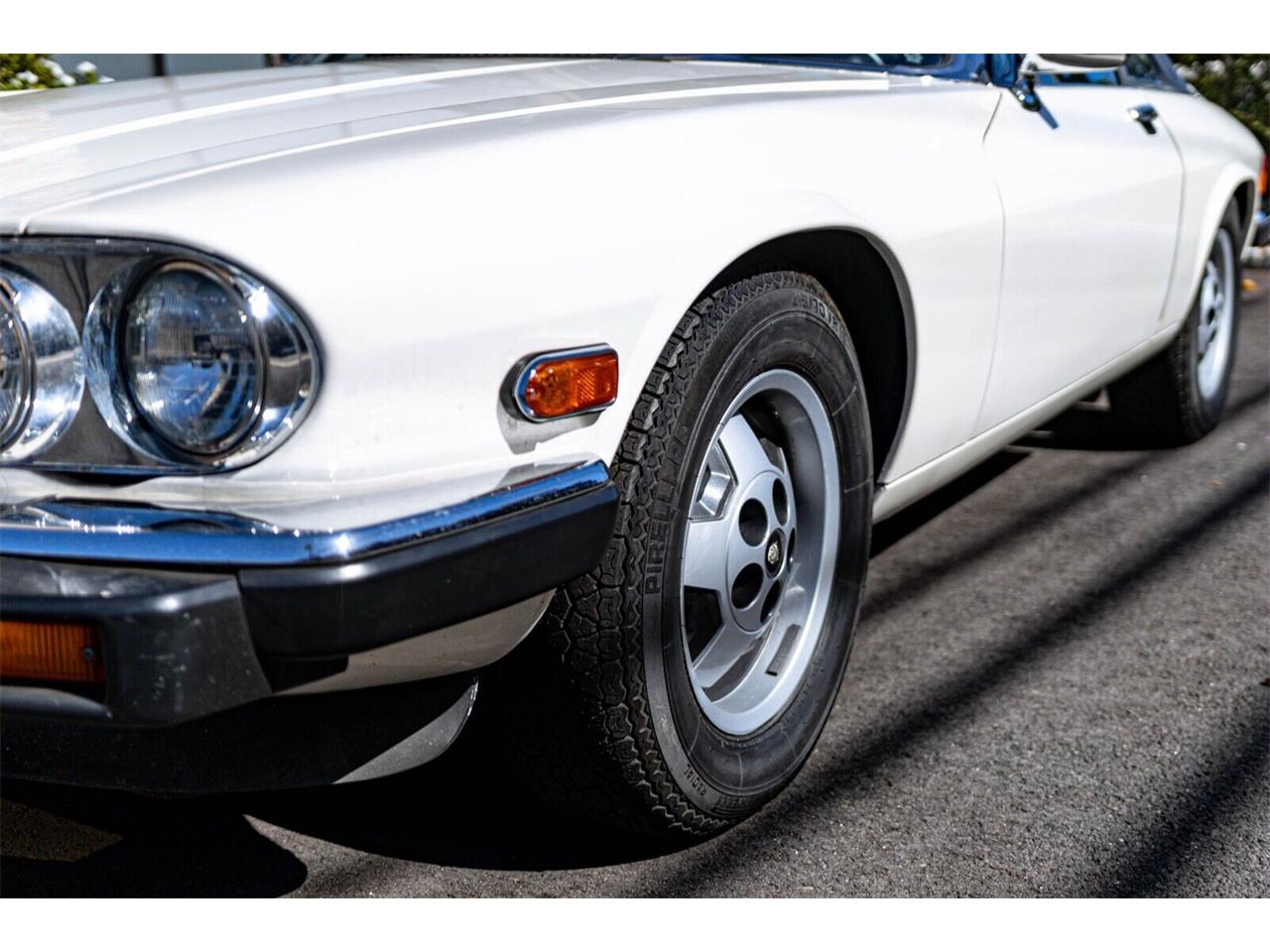 Jaguar-Xjs-1982-Tudor-White-Black-8