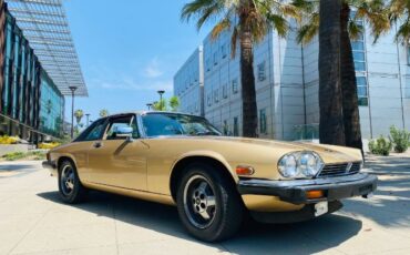 Jaguar-Xjs-1988-Brown-Leather-10