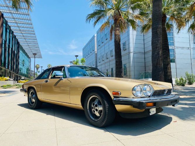 Jaguar-Xjs-1988-Brown-Leather-10