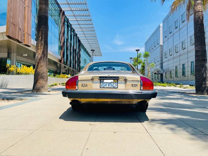 Jaguar-Xjs-1988-Brown-Leather-11