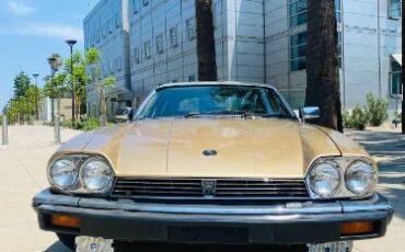 Jaguar-Xjs-1988-Brown-Leather-5