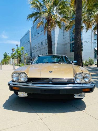 Jaguar-Xjs-1988-Brown-Leather-5