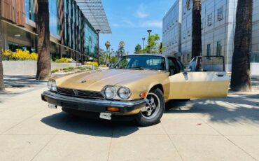 Jaguar-Xjs-1988-Brown-Leather-7
