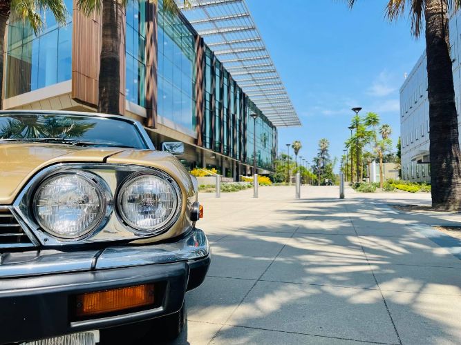 Jaguar-Xjs-1988-Brown-Leather-8