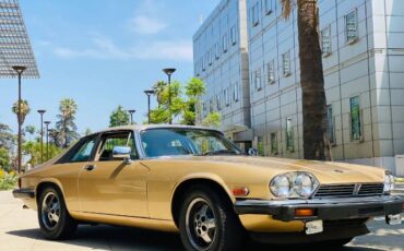 Jaguar-Xjs-1988-Brown-Leather-9