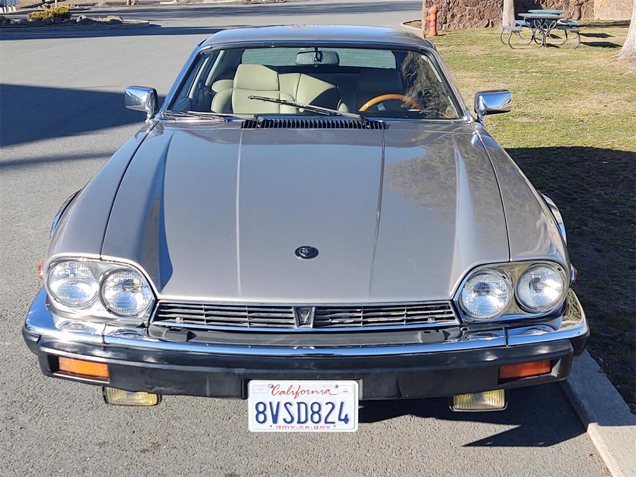 Jaguar-Xjs-1988-Champagne-Bayish-10