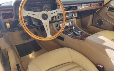 Jaguar-Xjs-1988-Champagne-Bayish-13