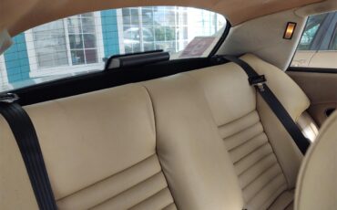 Jaguar-Xjs-1988-Champagne-Bayish
