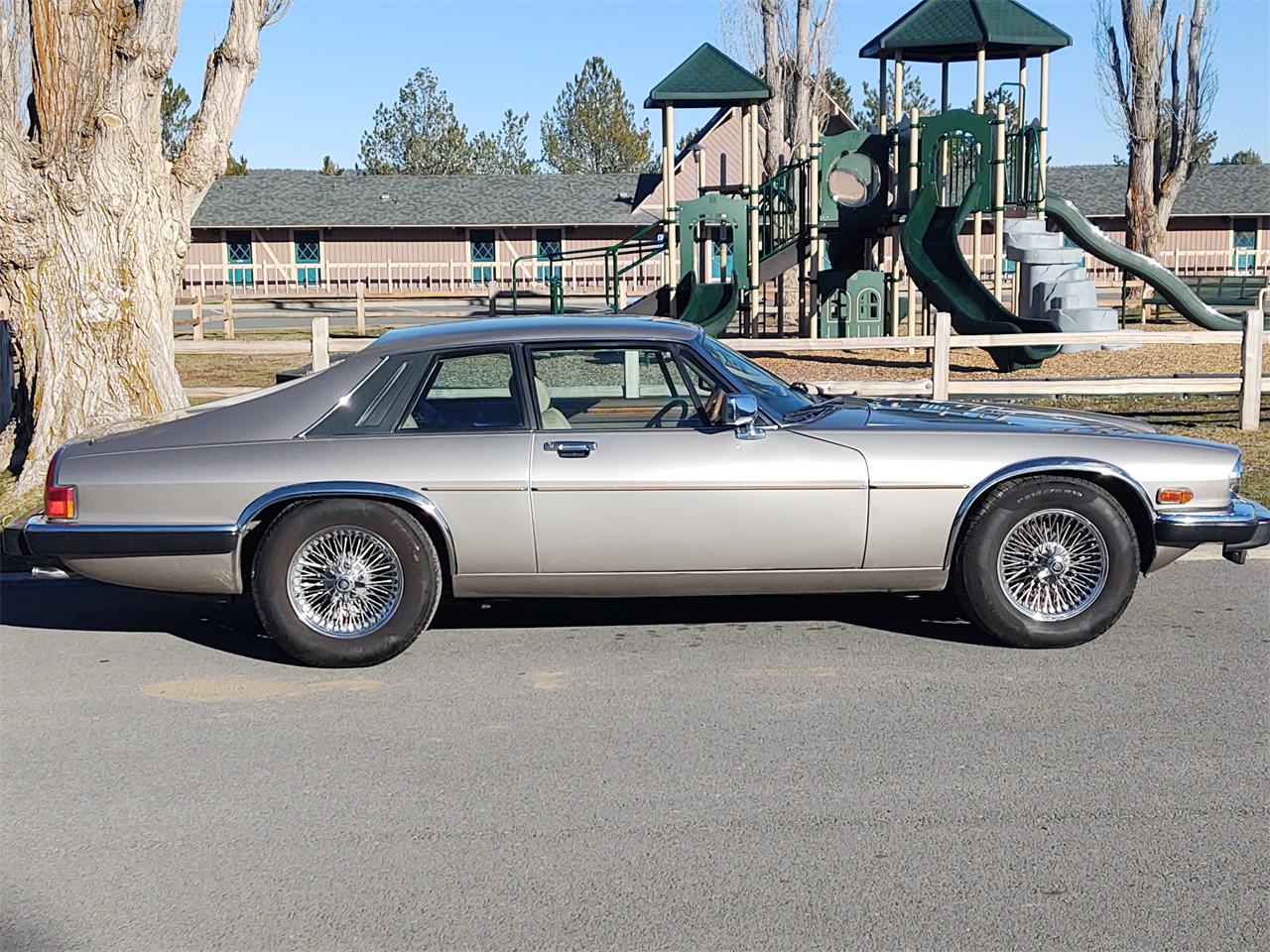 Jaguar-Xjs-1988-Champagne-Bayish-4