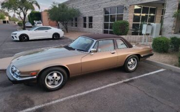 Jaguar-Xjs-1988-Champagnechocolate-Beige-leather-3