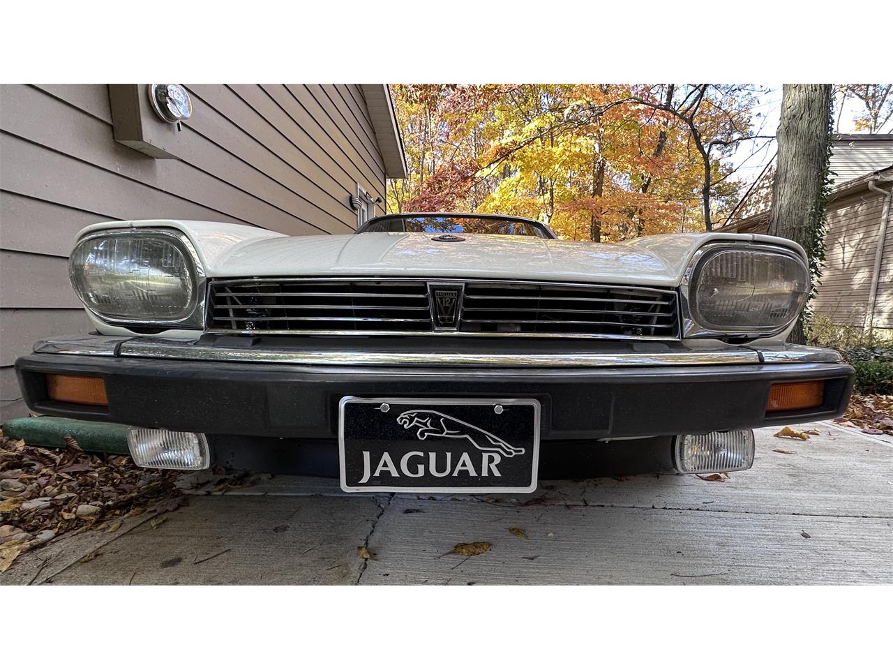 Jaguar-Xjs-1988-Glacier-White-Barley-Leather-1