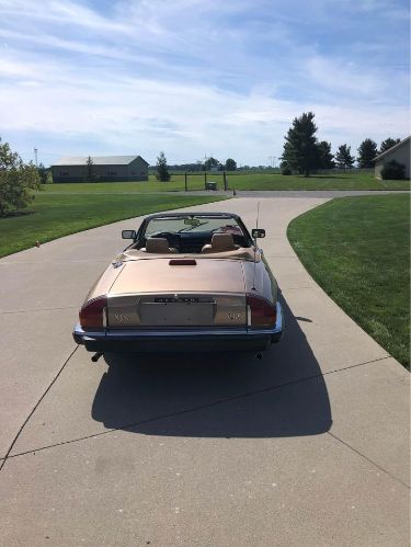 Jaguar-Xjs-1988-Gold-Tan-2