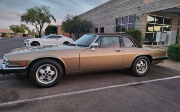 Jaguar-Xjs-1988-Leather-4