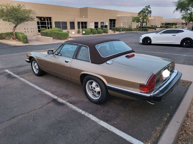 Jaguar-Xjs-1988-Leather-5
