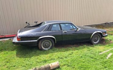 Jaguar-Xjs-1989-Black-2