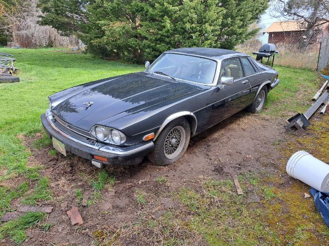 Jaguar-Xjs-1989-Black-5