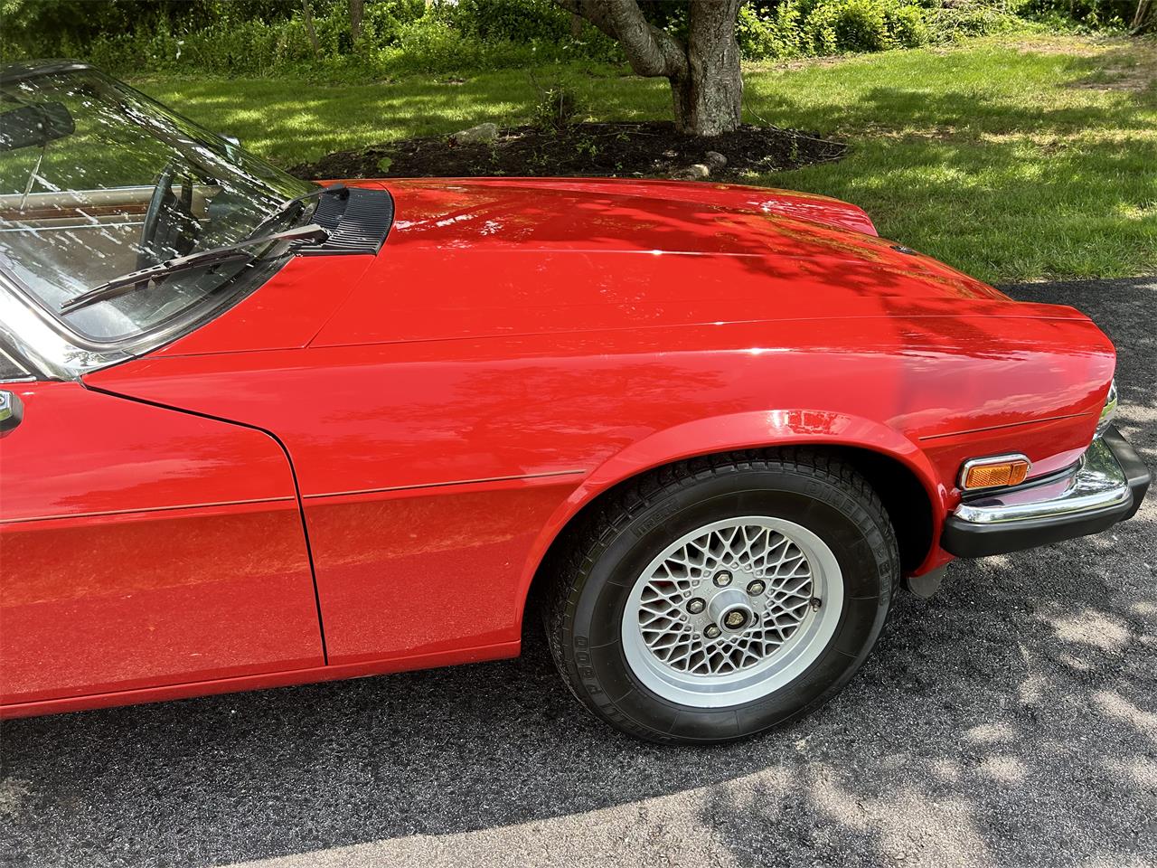 Jaguar-Xjs-1990-Signal-Red-Barley-19