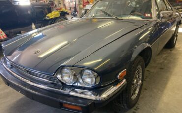 Jaguar-poop-1989-blue-1