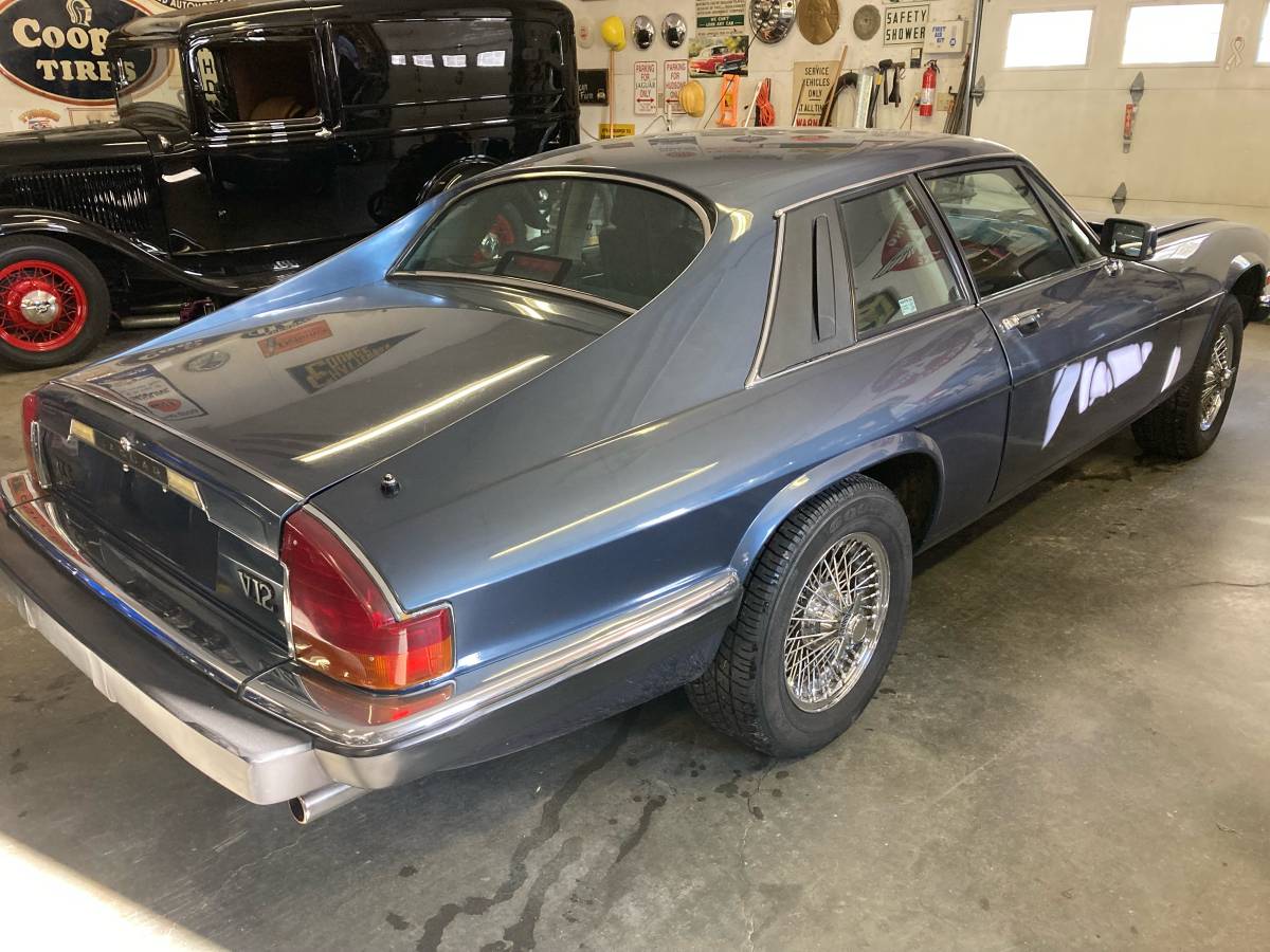 Jaguar-poop-1989-blue-2